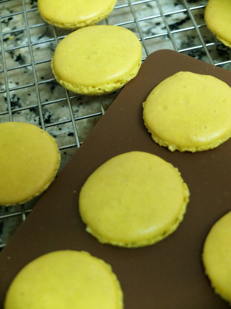 French macaron shells