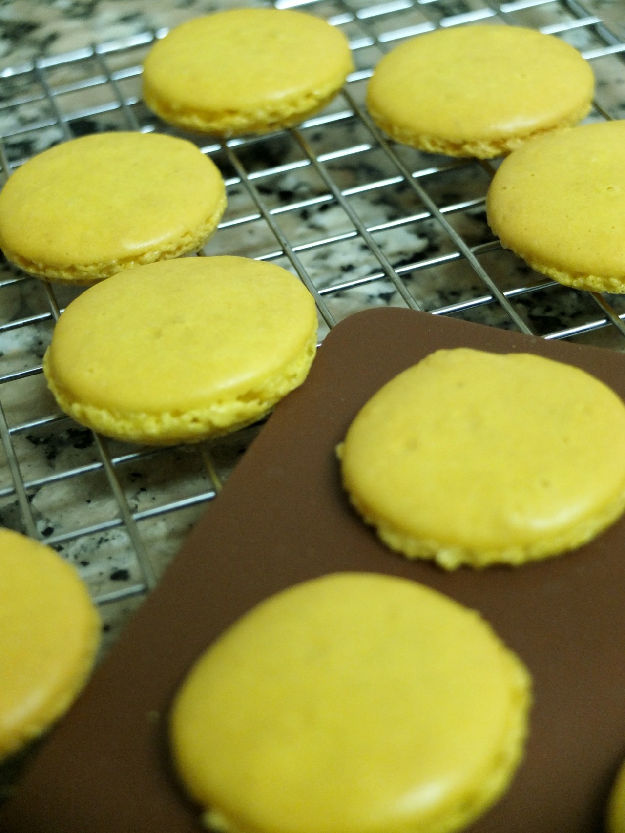 French macaron shells recipe | lili's cakes