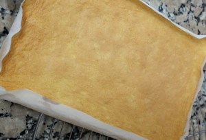 Genoise sponge