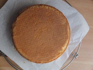 Genoise sponge