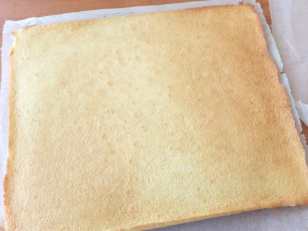 genoise sponge