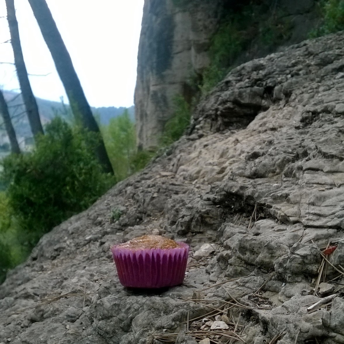Jamaican ginger cupcakes