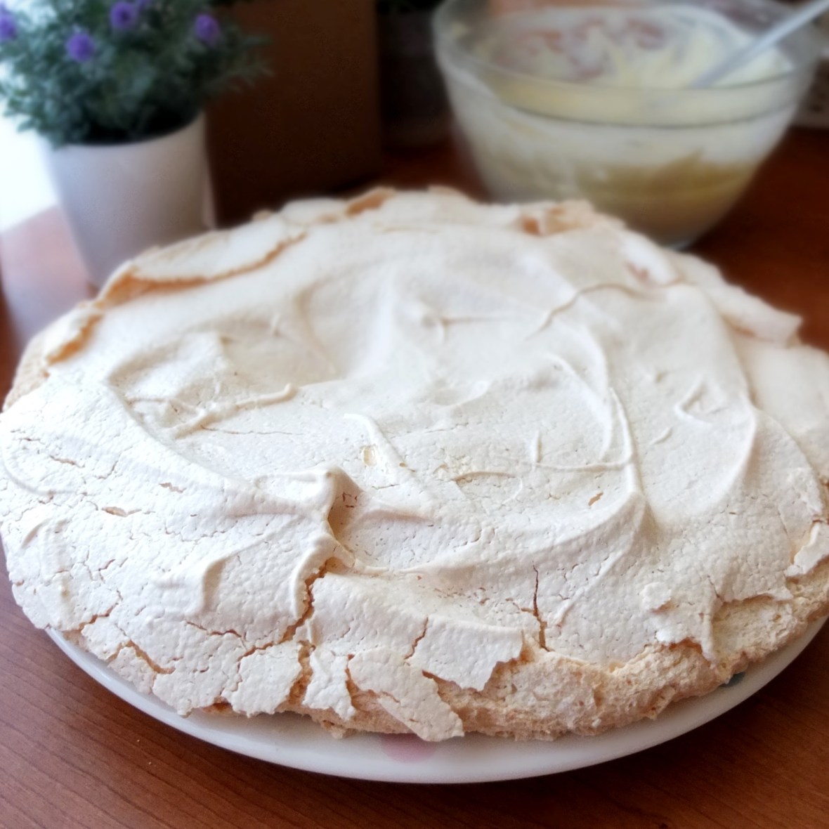 Pavlova base