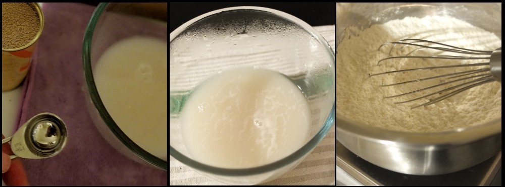 baozi - yeast and dry ingredients