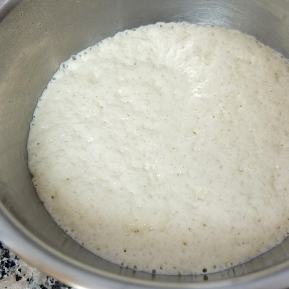 risen starter dough for char siu bao