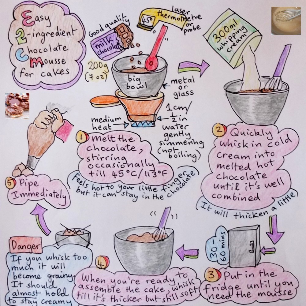 Chocolate mousse - dreamy chocolate and hazelnut dacquoise