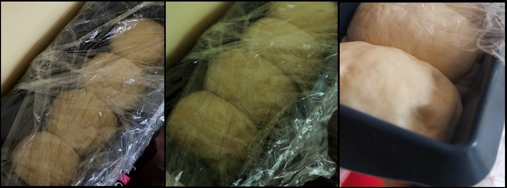 Making pain de mie 8