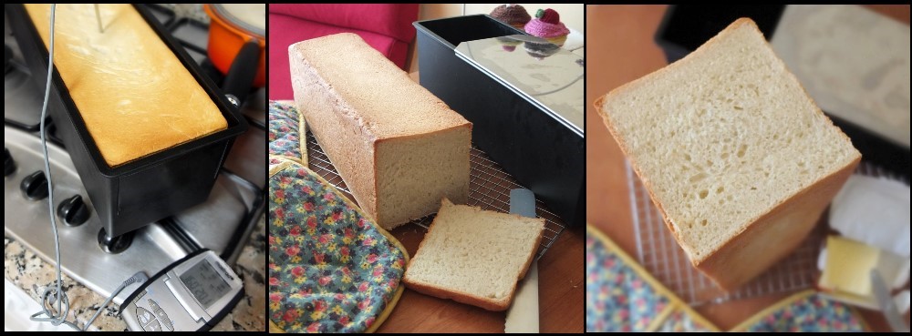 Pain de mie rectangle-shaped with exoglass tin 4