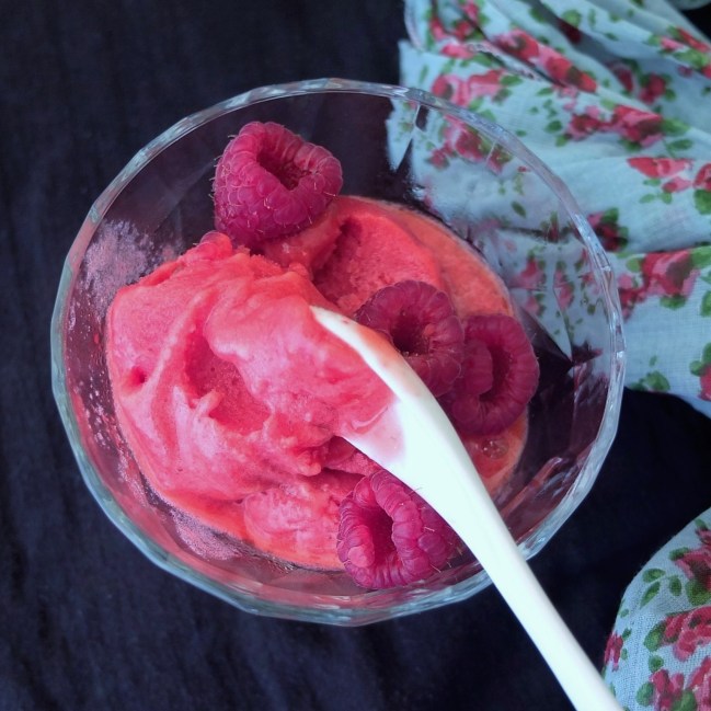 Raspberry sorbet