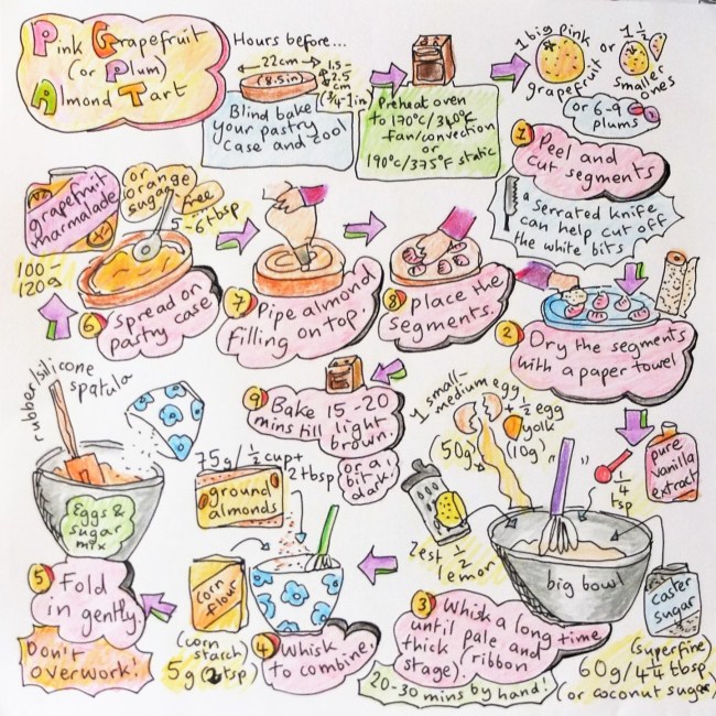 Healthier pink grapefruit or plum almond tart illustrated recipe