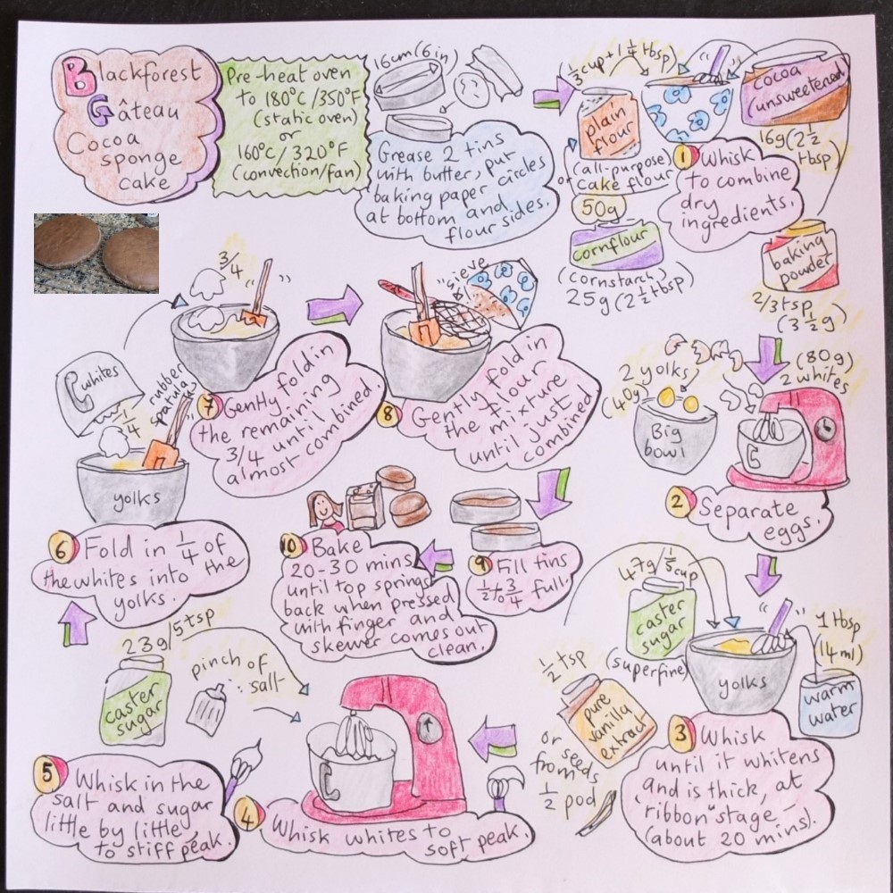 blackforest-gateau-cocoa-sponge-illustrated-recipe