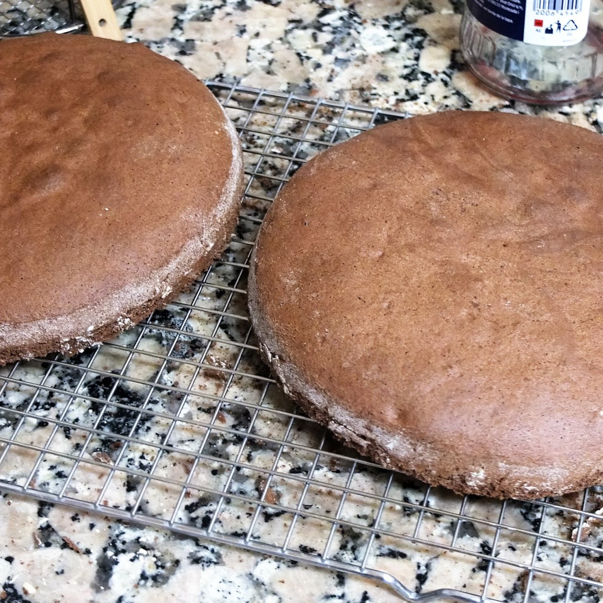 Blackforest gateau cocoa sponge