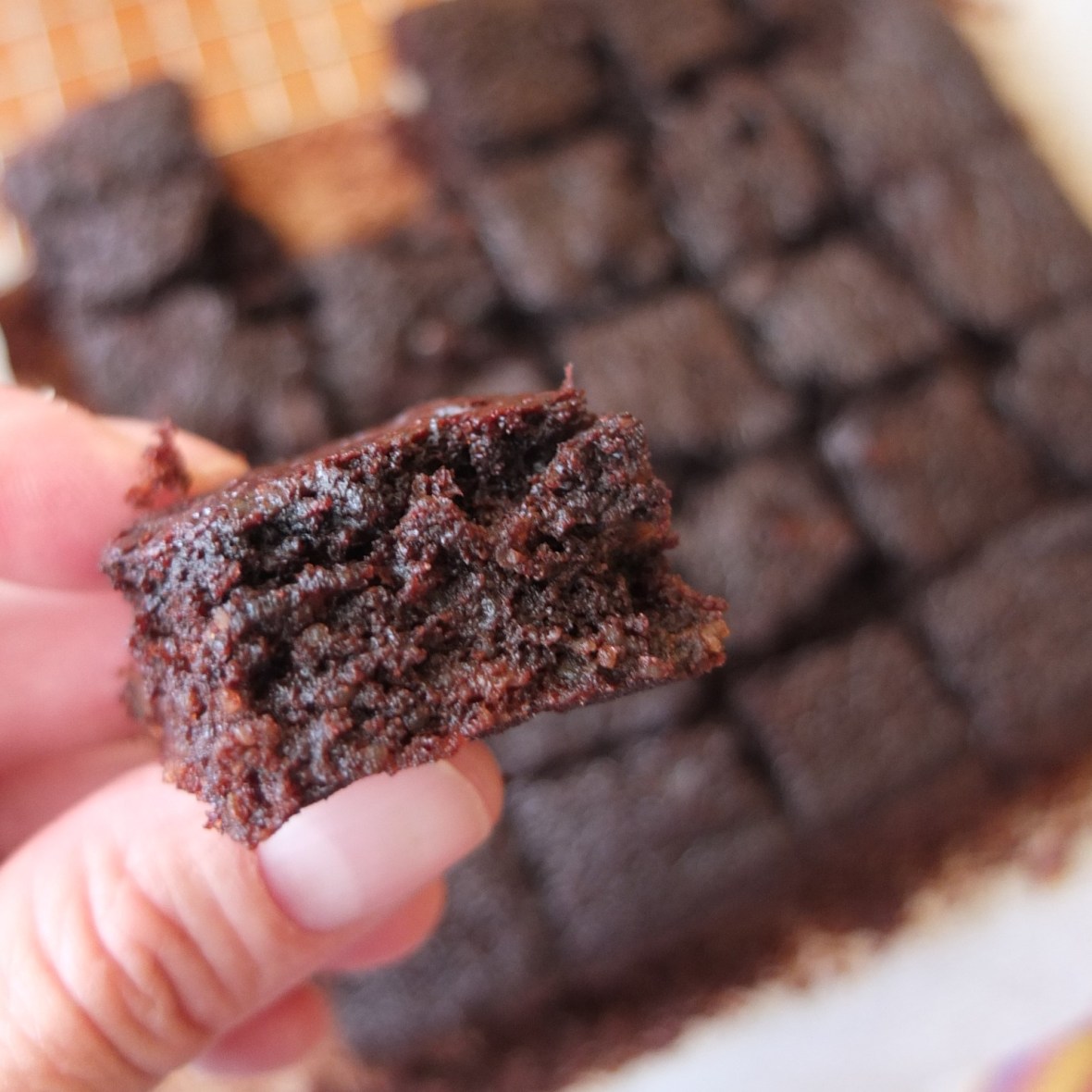 Healthy chocolate brownies - sugarfree and glutenfree
