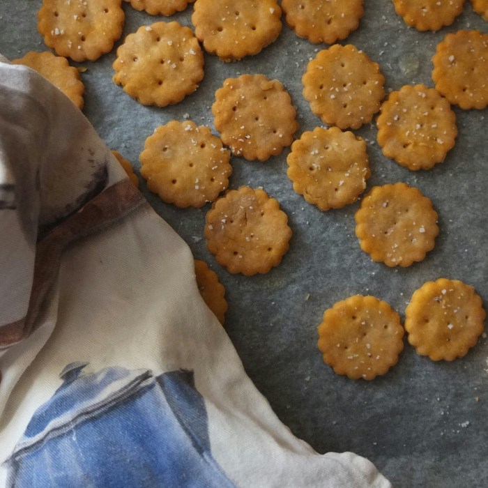 Homemade ritz-style crackers, glutenfree or not