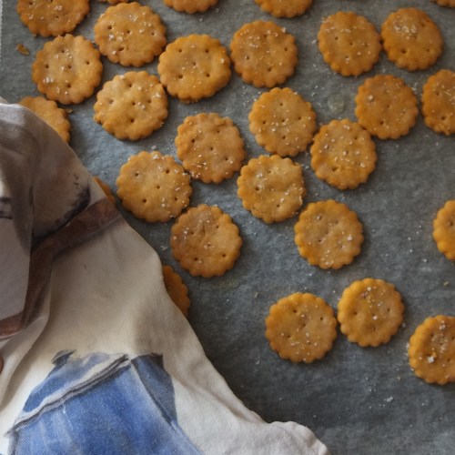 Homemade ritz-style crackers, glutenfree or not