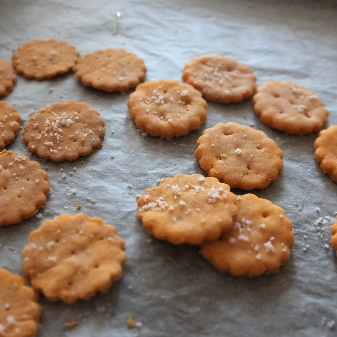 Homemade ritz-style crackers, glutenfree or not