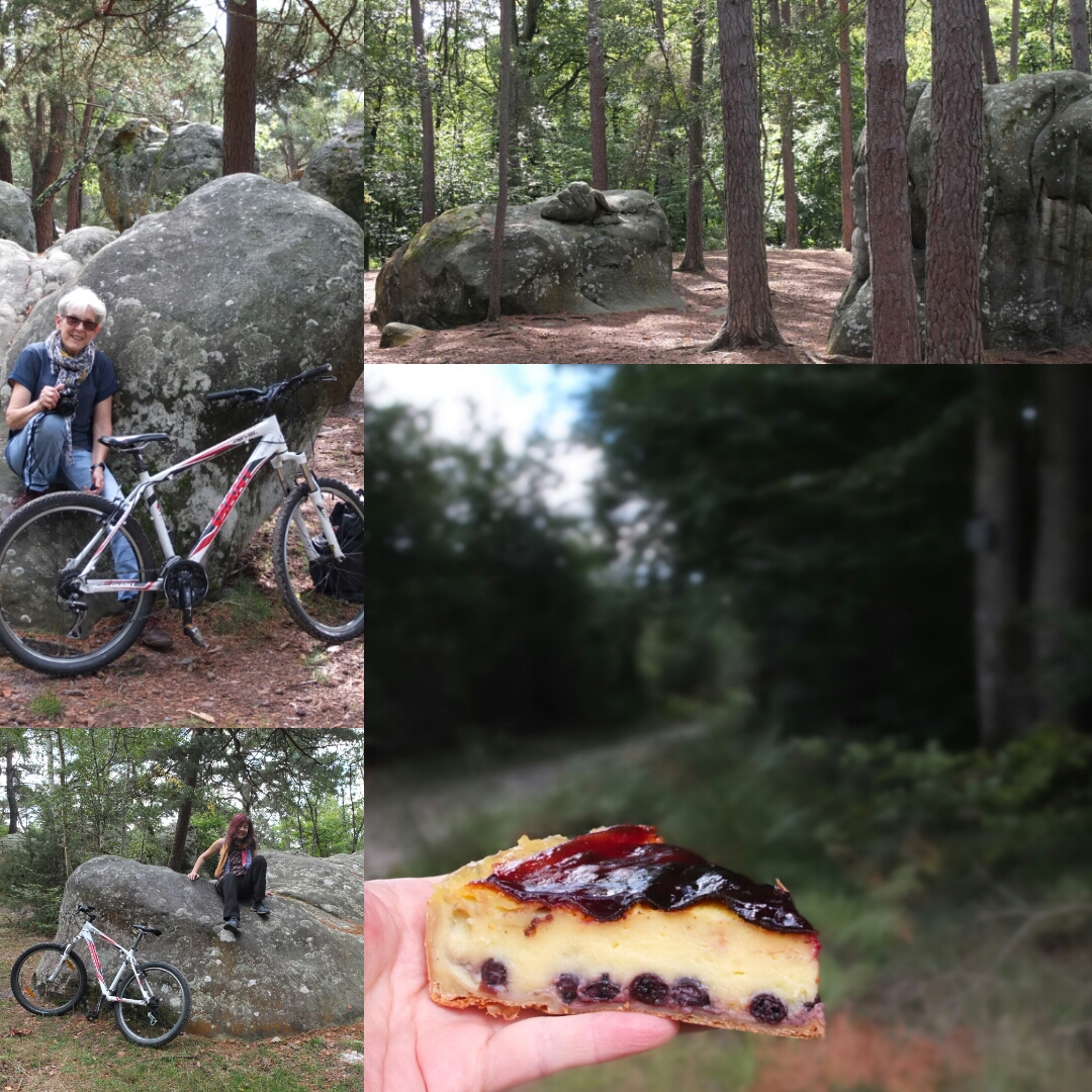 Cycling, boulders and cakes in Fontainebleau forest