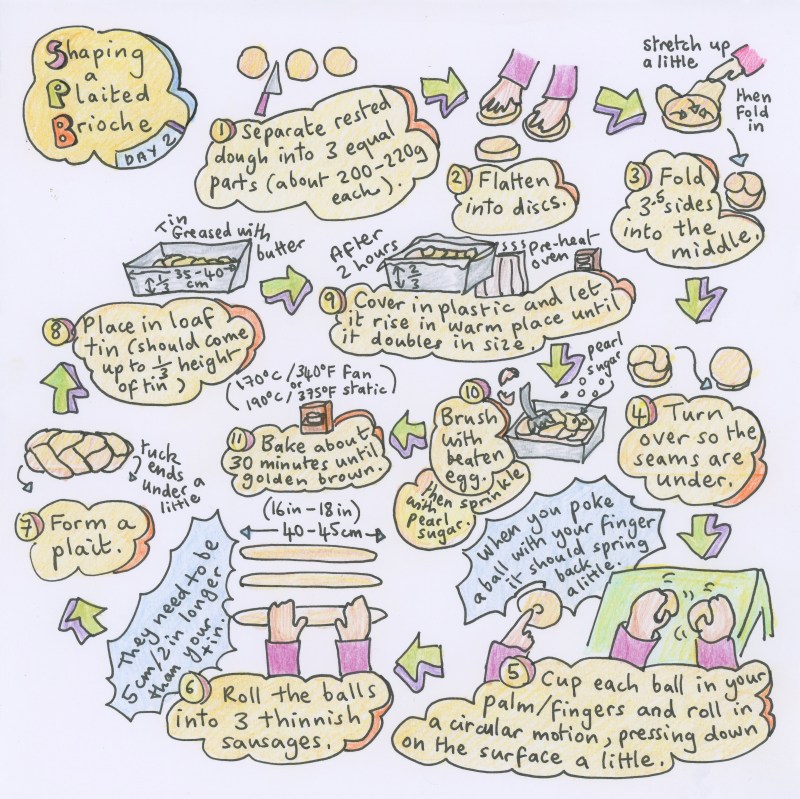 Shaping brioche, balls and plaited loaf - illustrated recipe