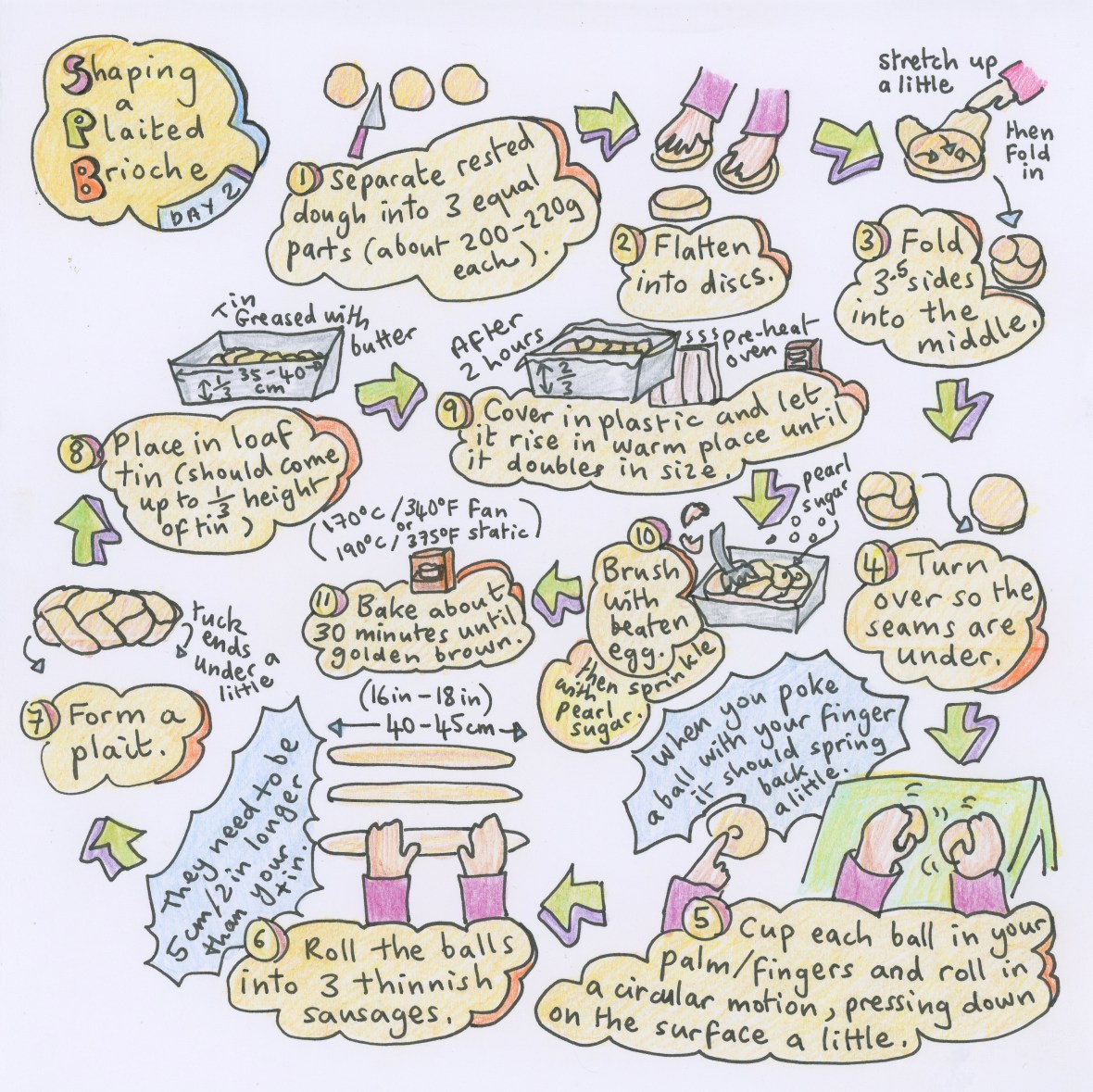 Shaping brioche, balls and plaited loaf - illustrated recipe