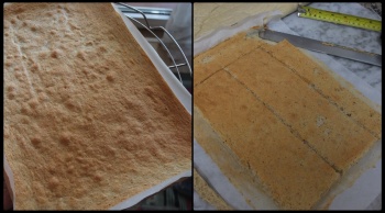 Almond sponge layer