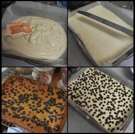 Chocolate chip sponge