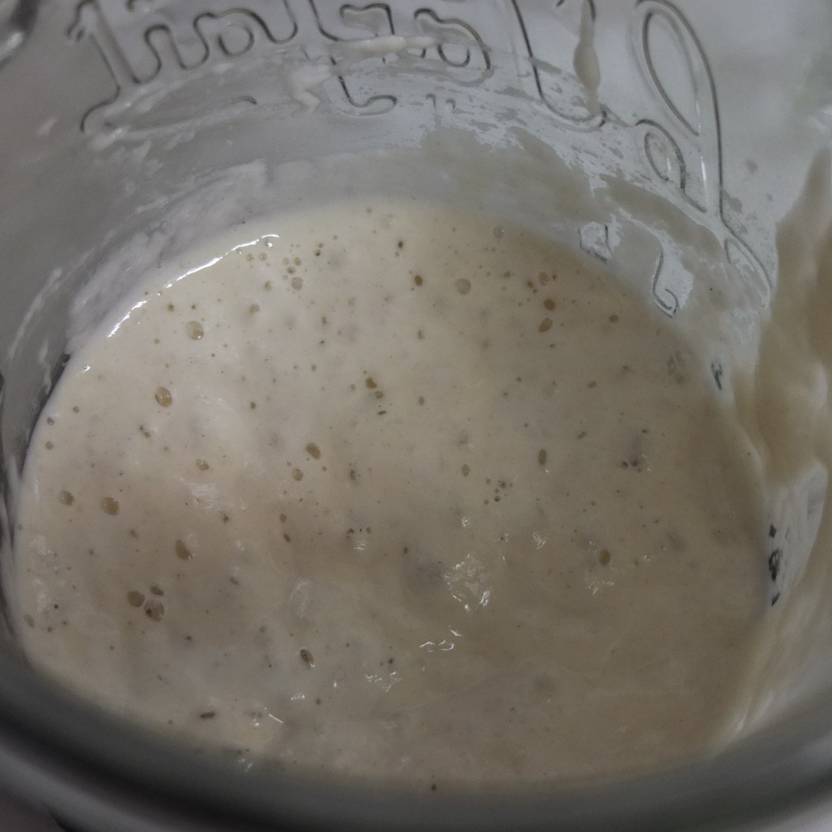 Active sourdough starter