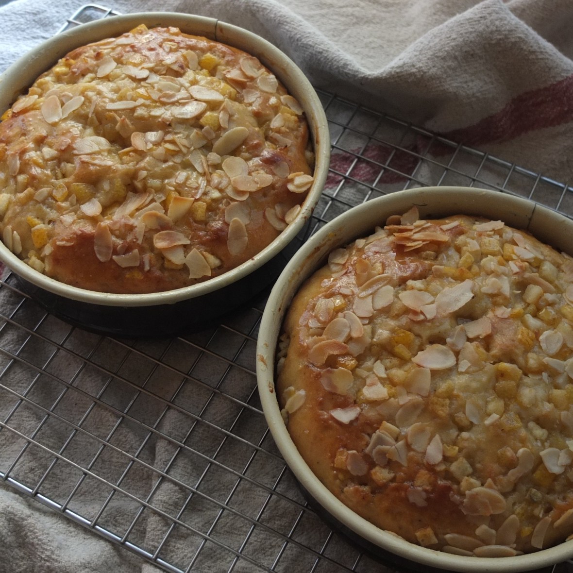 Healthier sourdough orange and lemon cake