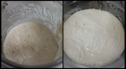 Making a levain with your active starter