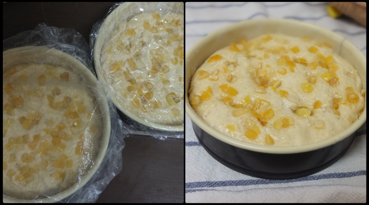 Proofing a sourdough orange cake