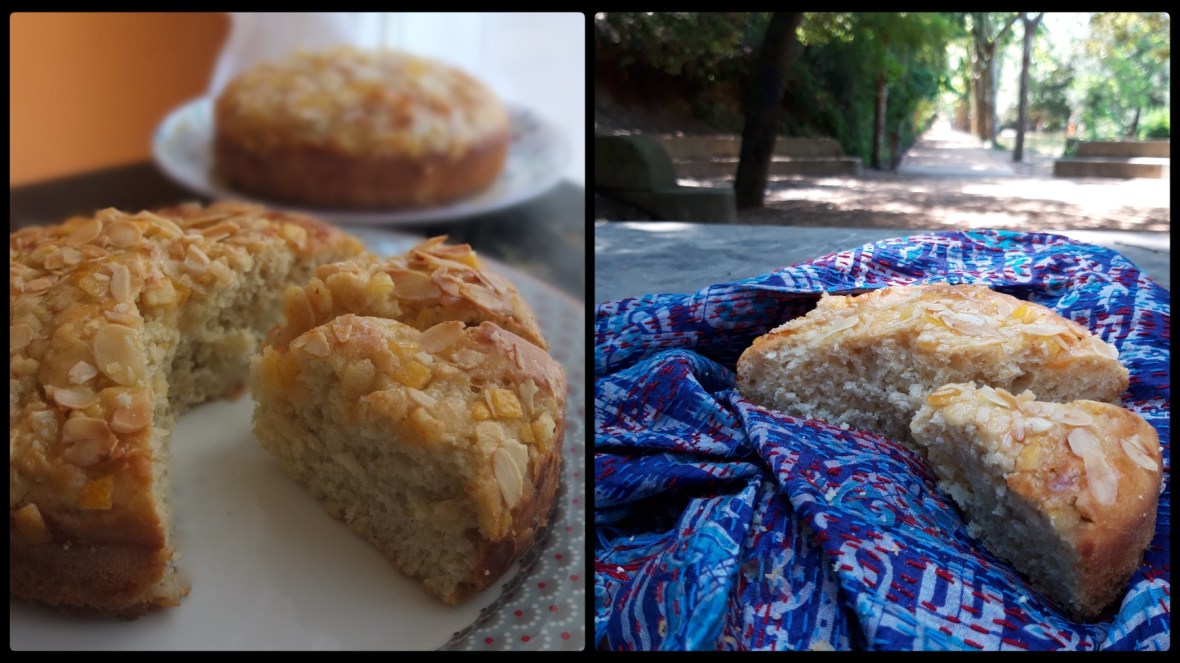 Sourdough orange cake