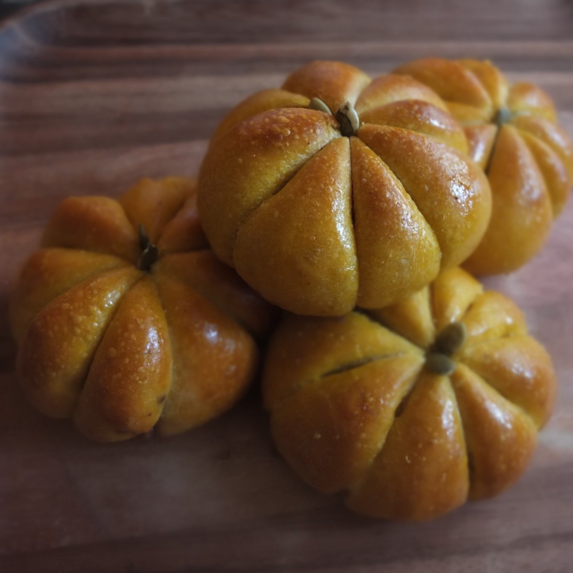 Pumpkin and chocolate sourdough buns