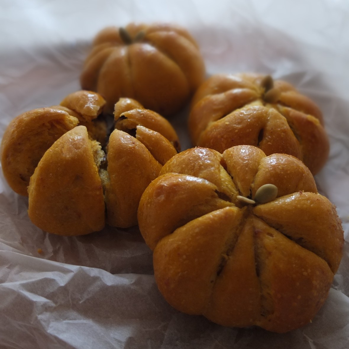 Pumpkin and chocolate sourdough buns