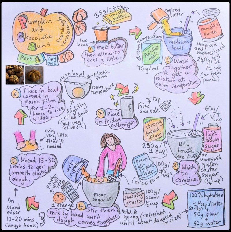 Pumpkin and chocolate buns, dough illustrated recipe