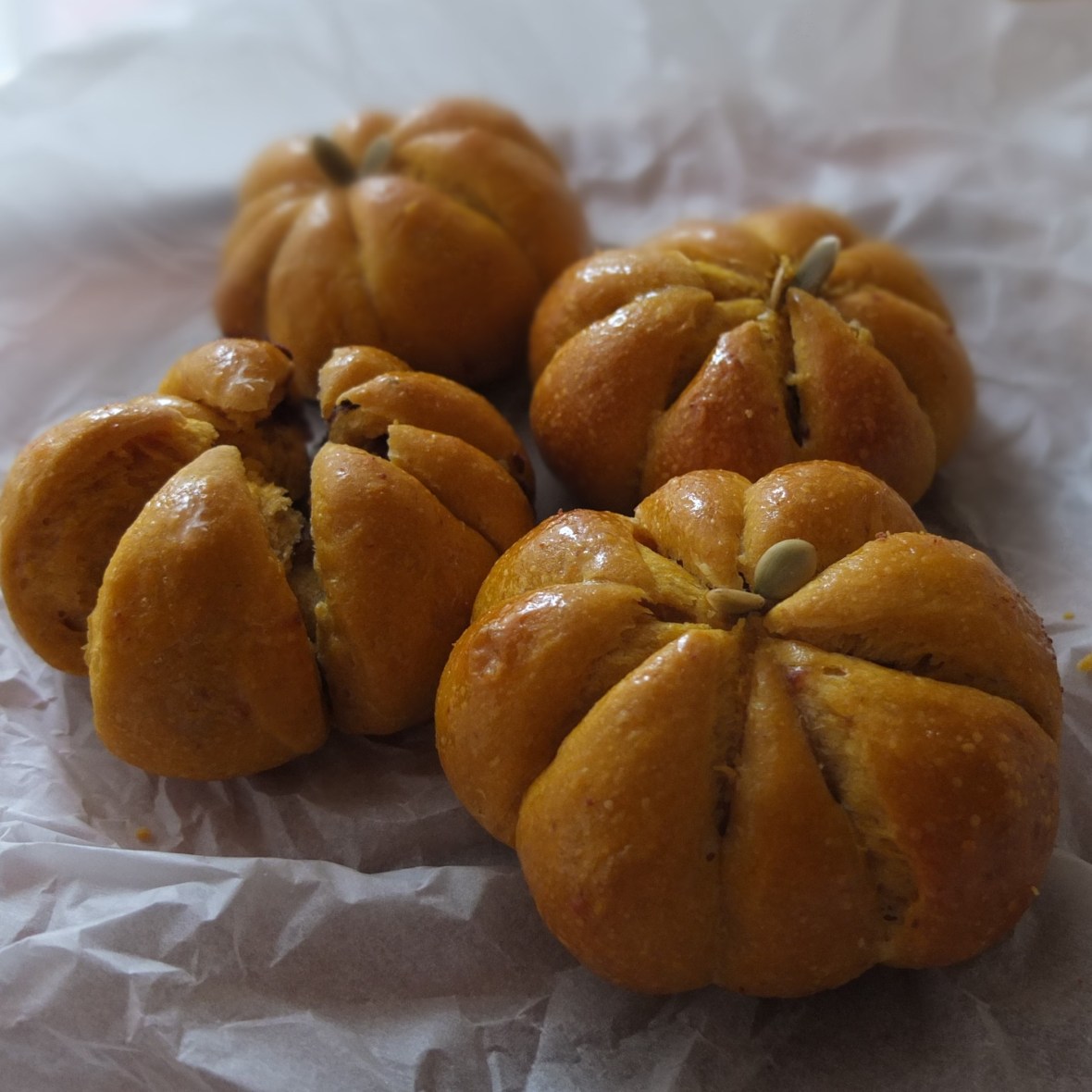 Pumpkin and chocolate sourdough buns