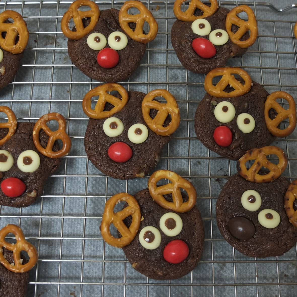 Spot the koala cookie