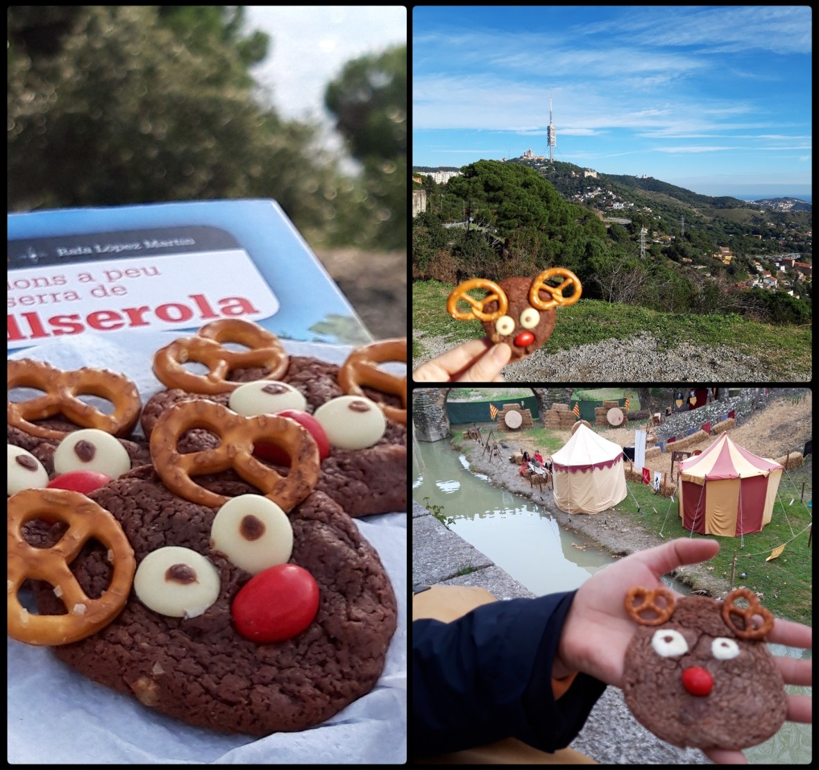 Rudolph cookies on day trips