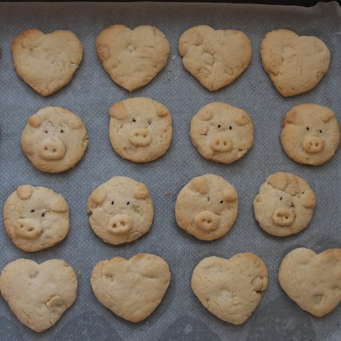 Vegan macadamia vanilla cookies