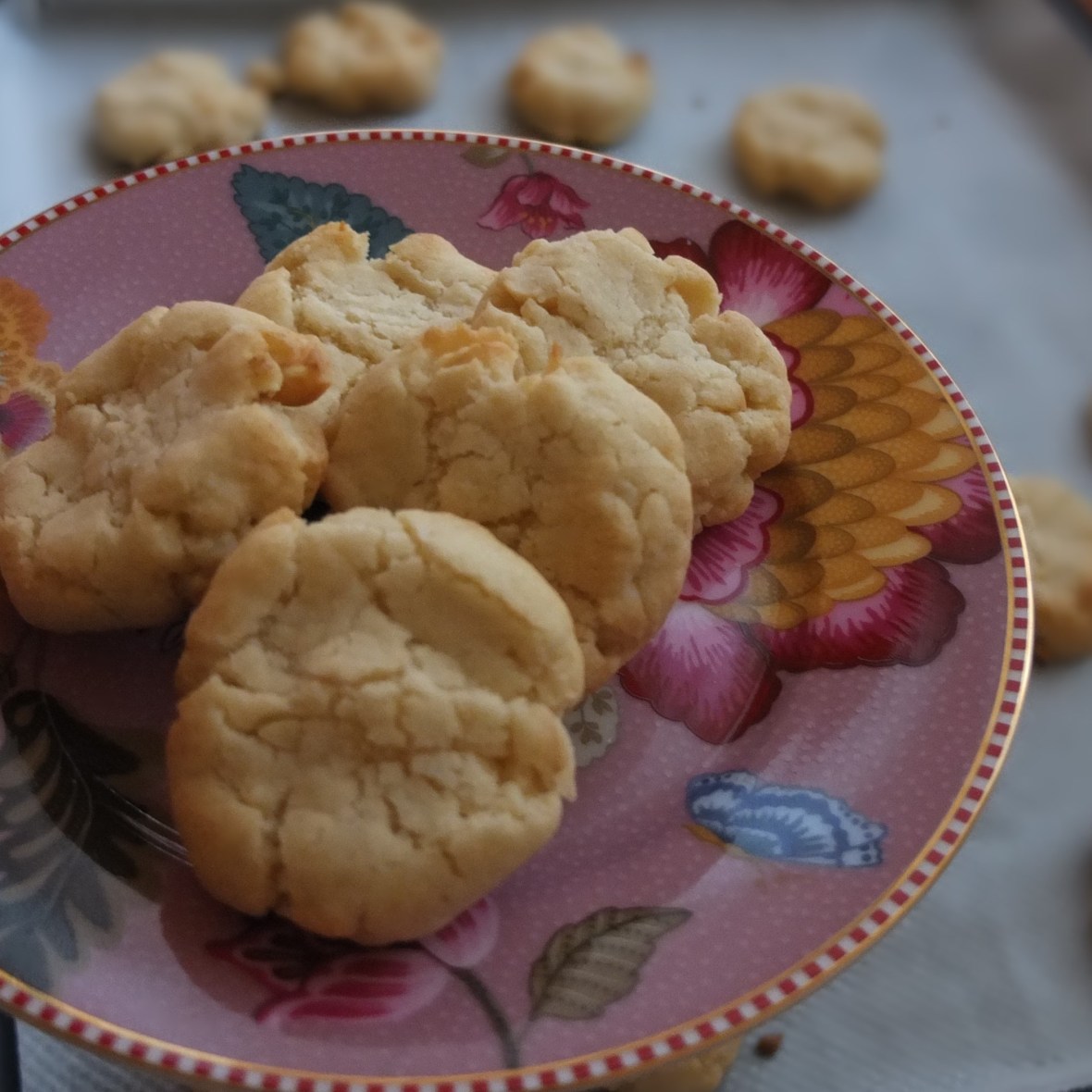Vegan macadamia vanilla cookies