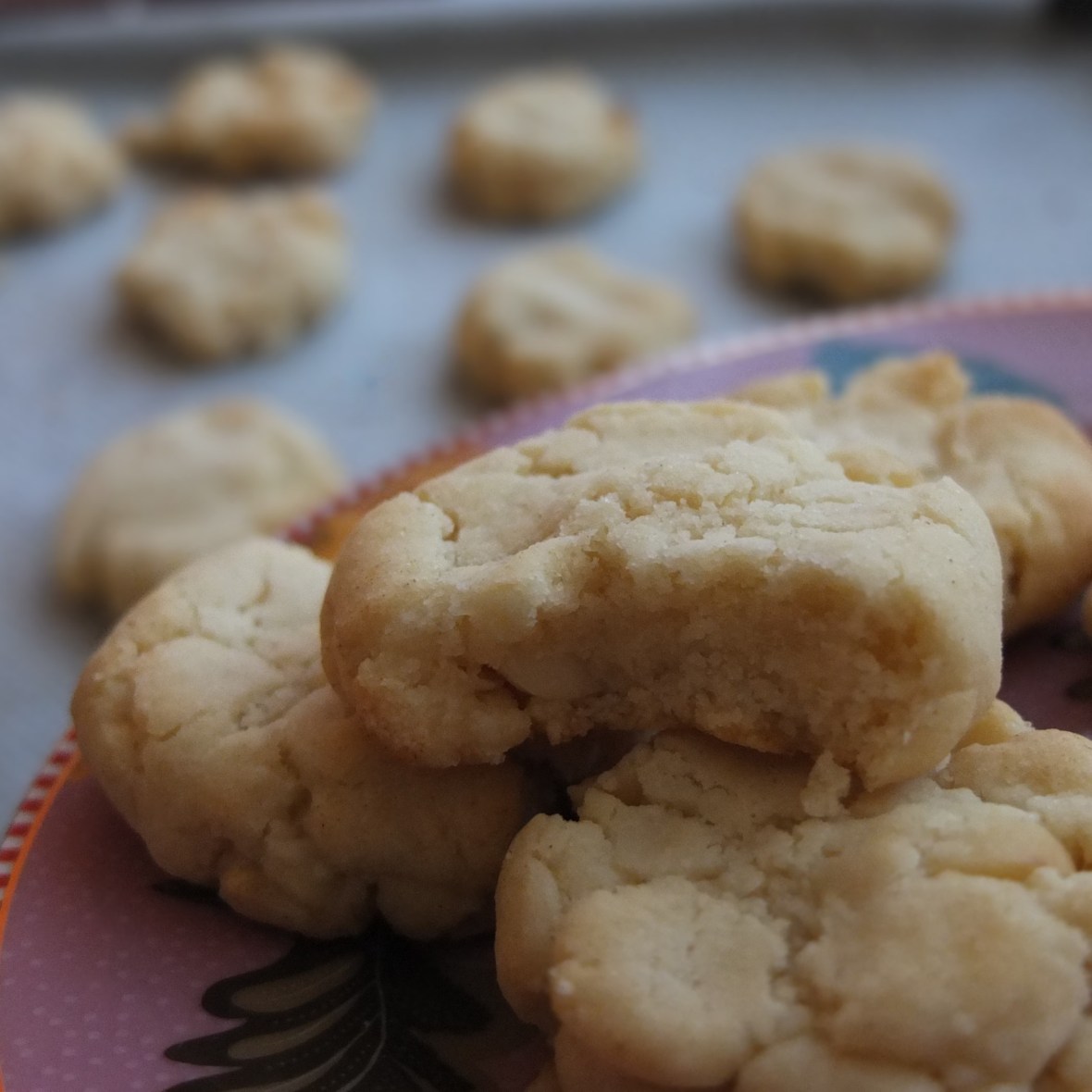 Vegan macadamia vanilla cookies