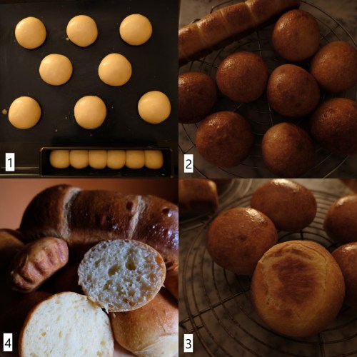 Baking sourdough brioche buns
