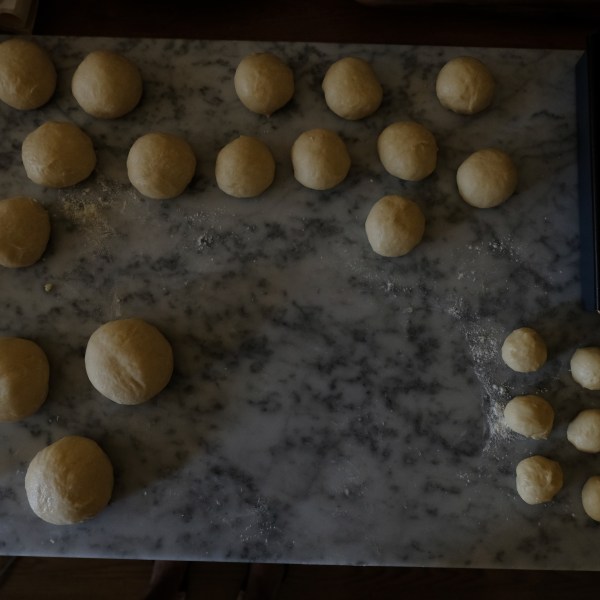 Pre-shaped sourdough brioches