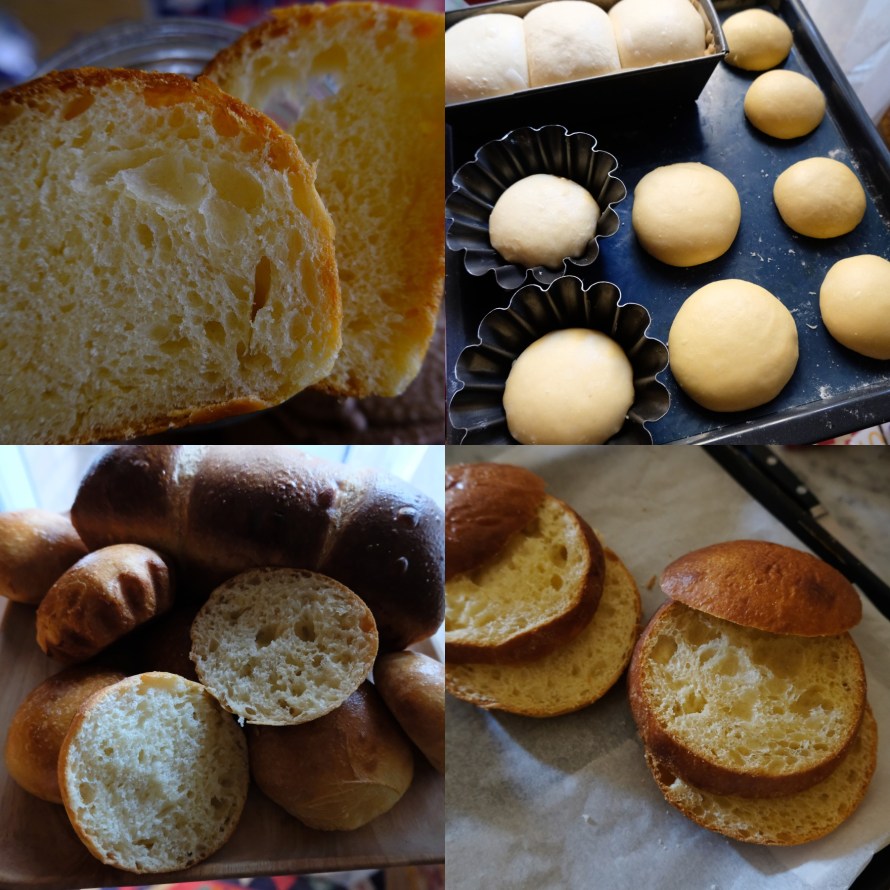 More sourdough brioches