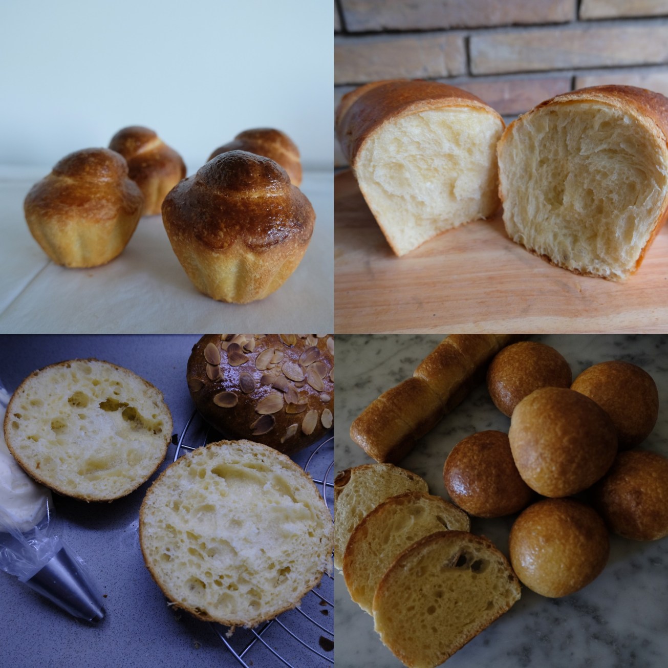 sourdough brioche
