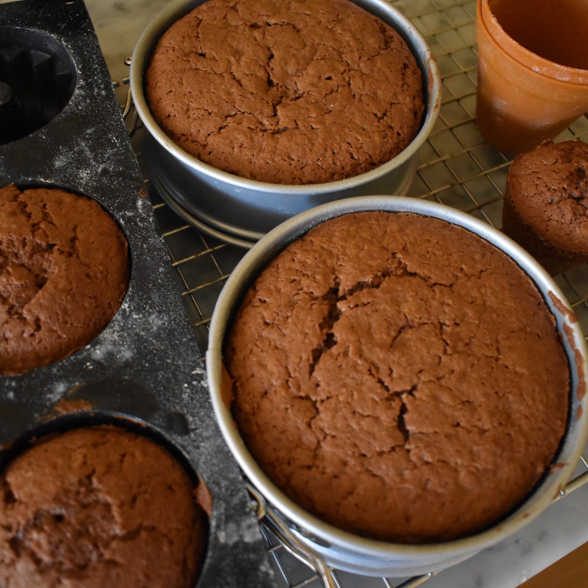 Chocolate dulce de leche sponges