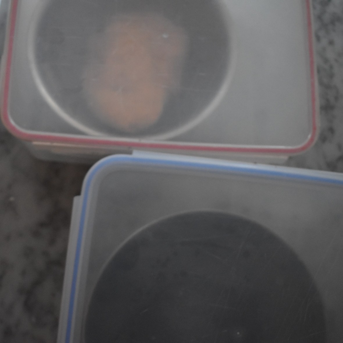 Bagel dough resting between turns