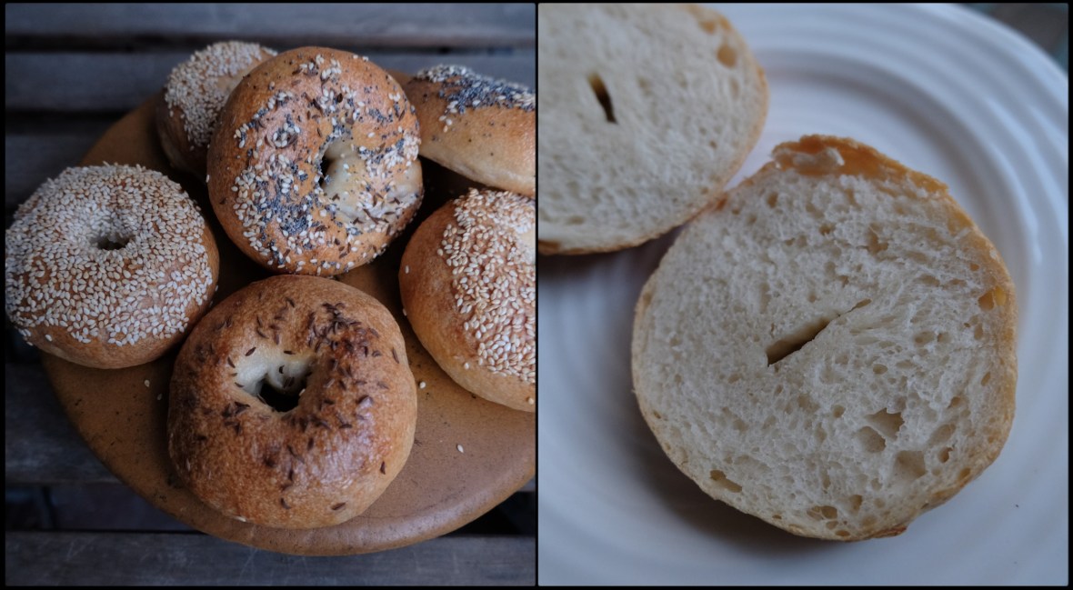 Plain sourdough bagels