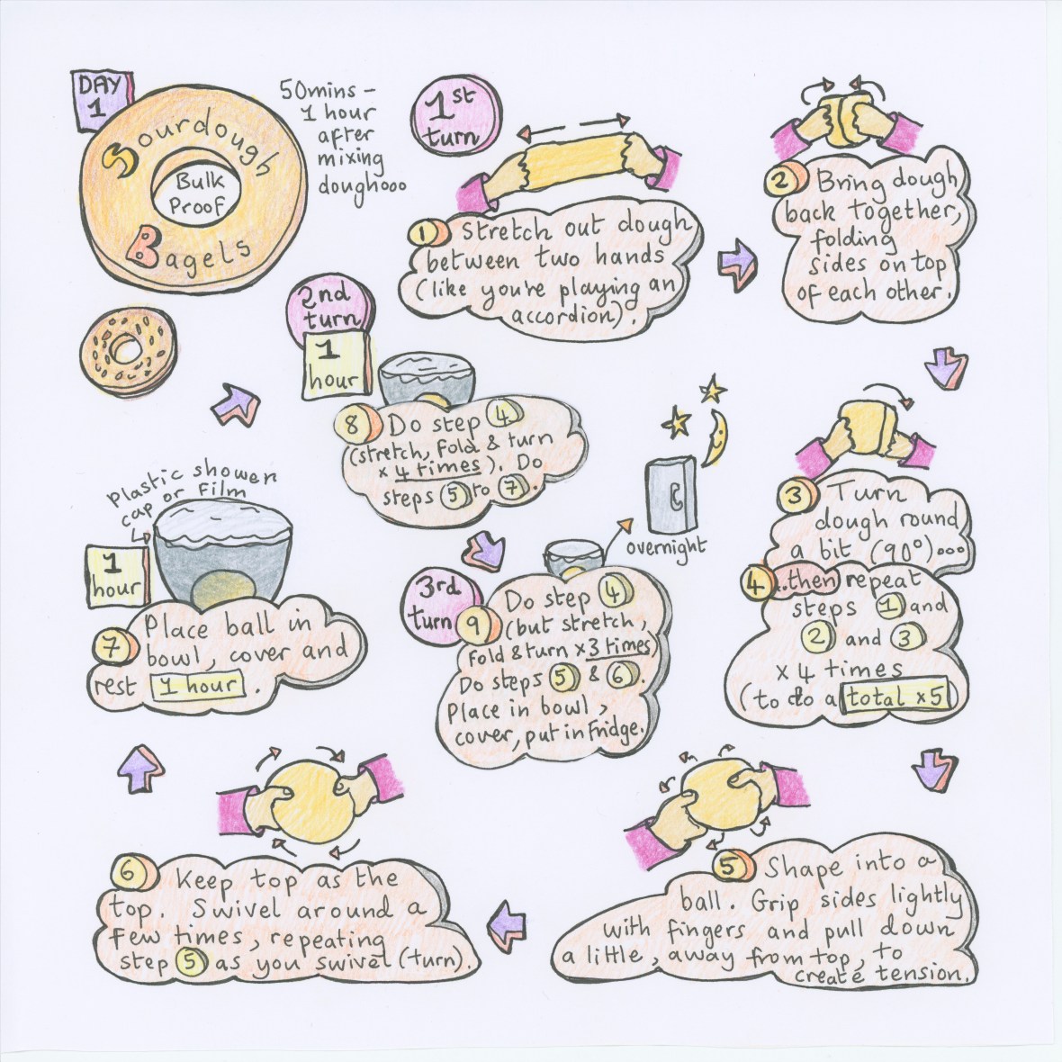 Sourdough bagels dough, bulk proof illustration