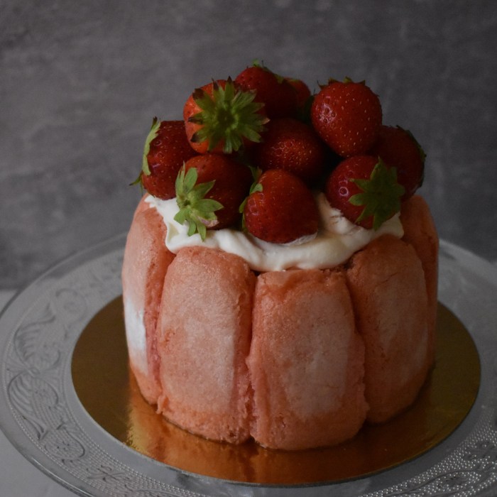 Strawberries and champagne charlotte