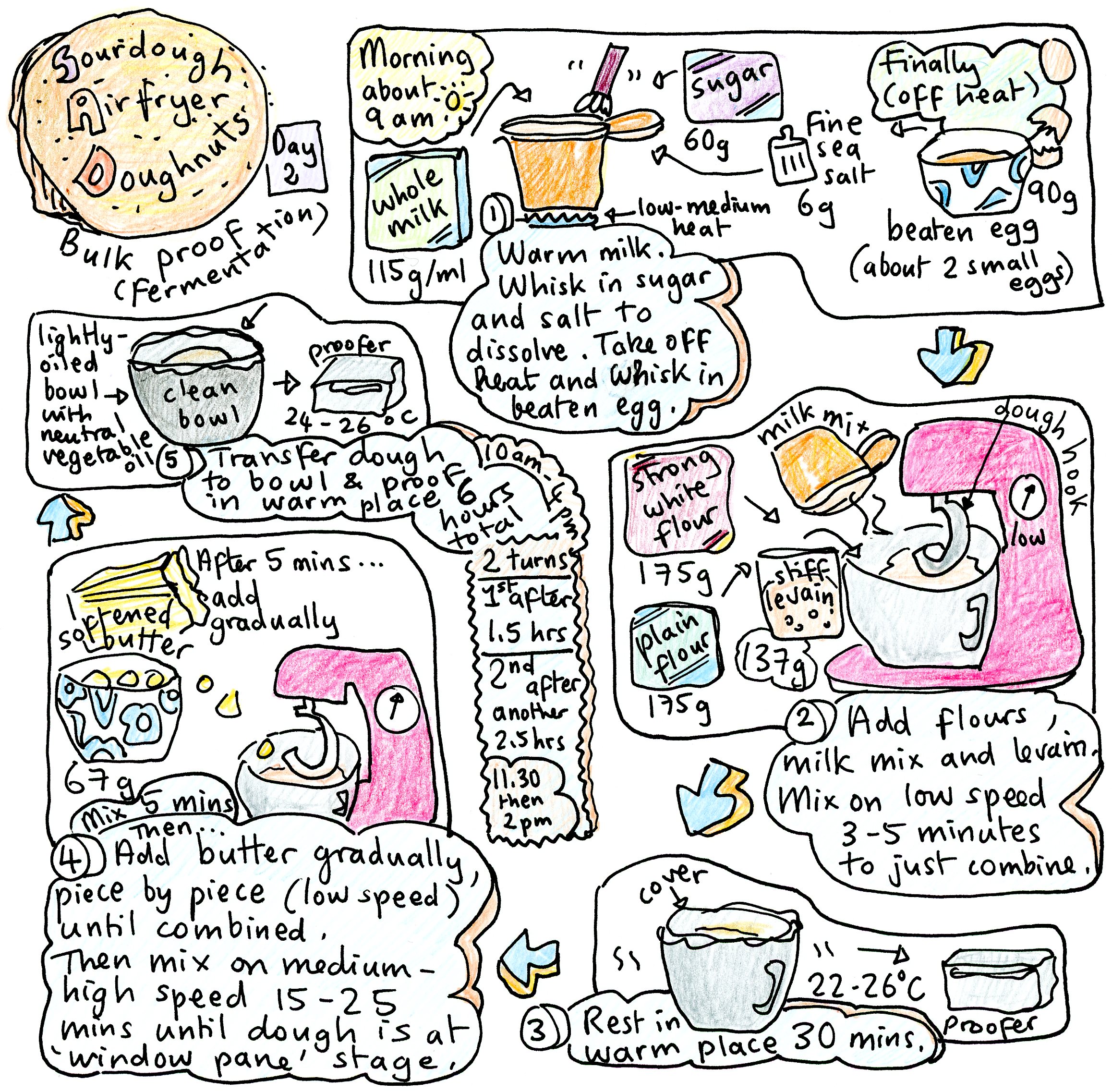 Sourdough airfryer doughnuts - bulk proof illustrated recipe